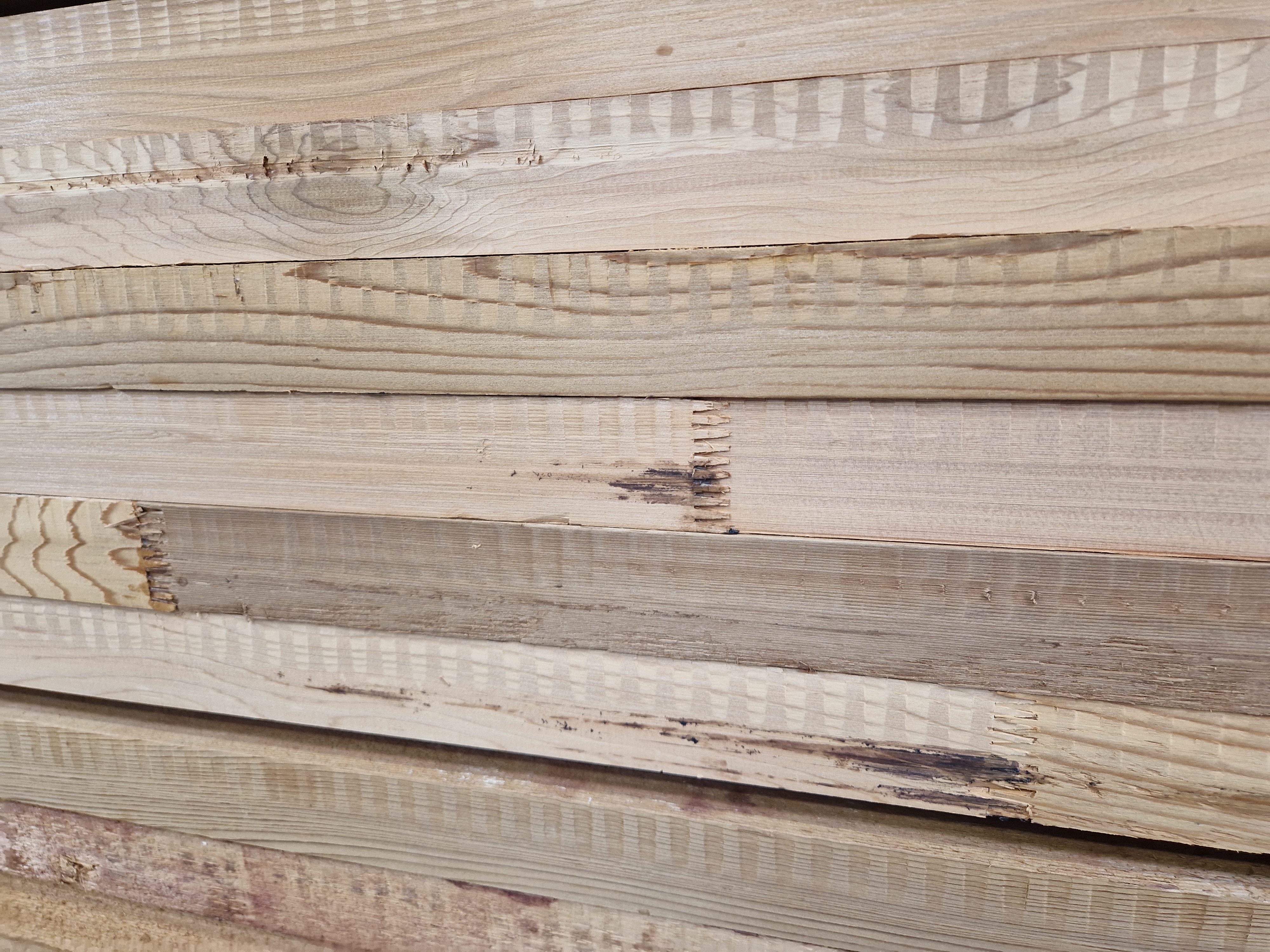 Western Red Cedar, Fingersamlet, Ovnt. 16-18%, 100% PEFC