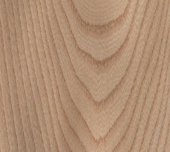 Amrk. Elm, Ovnt. 8-10%, FAS