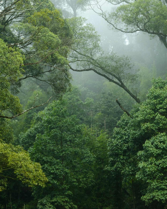 Klar til klimakravene i byggeriet? .