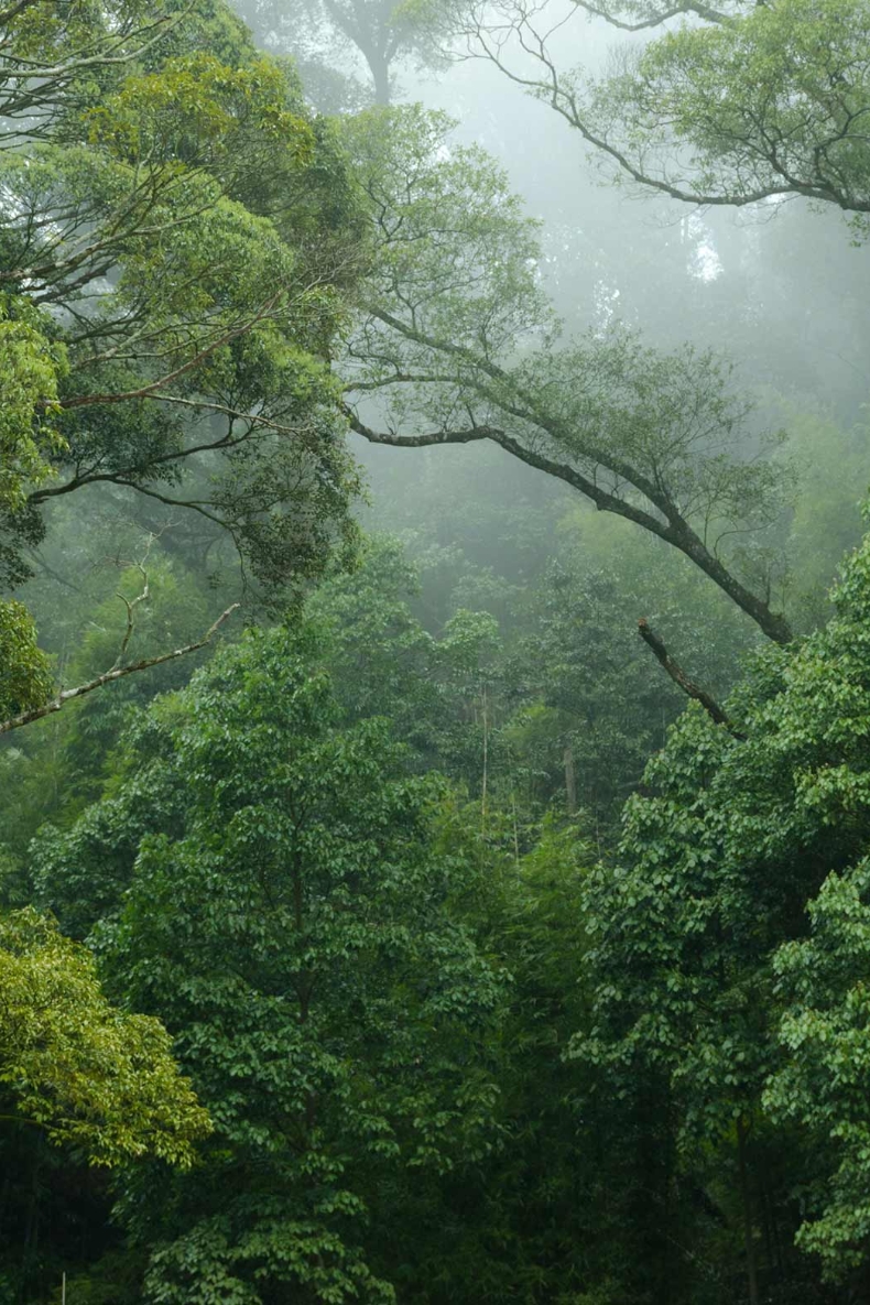 Klar til klimakravene i byggeriet? .