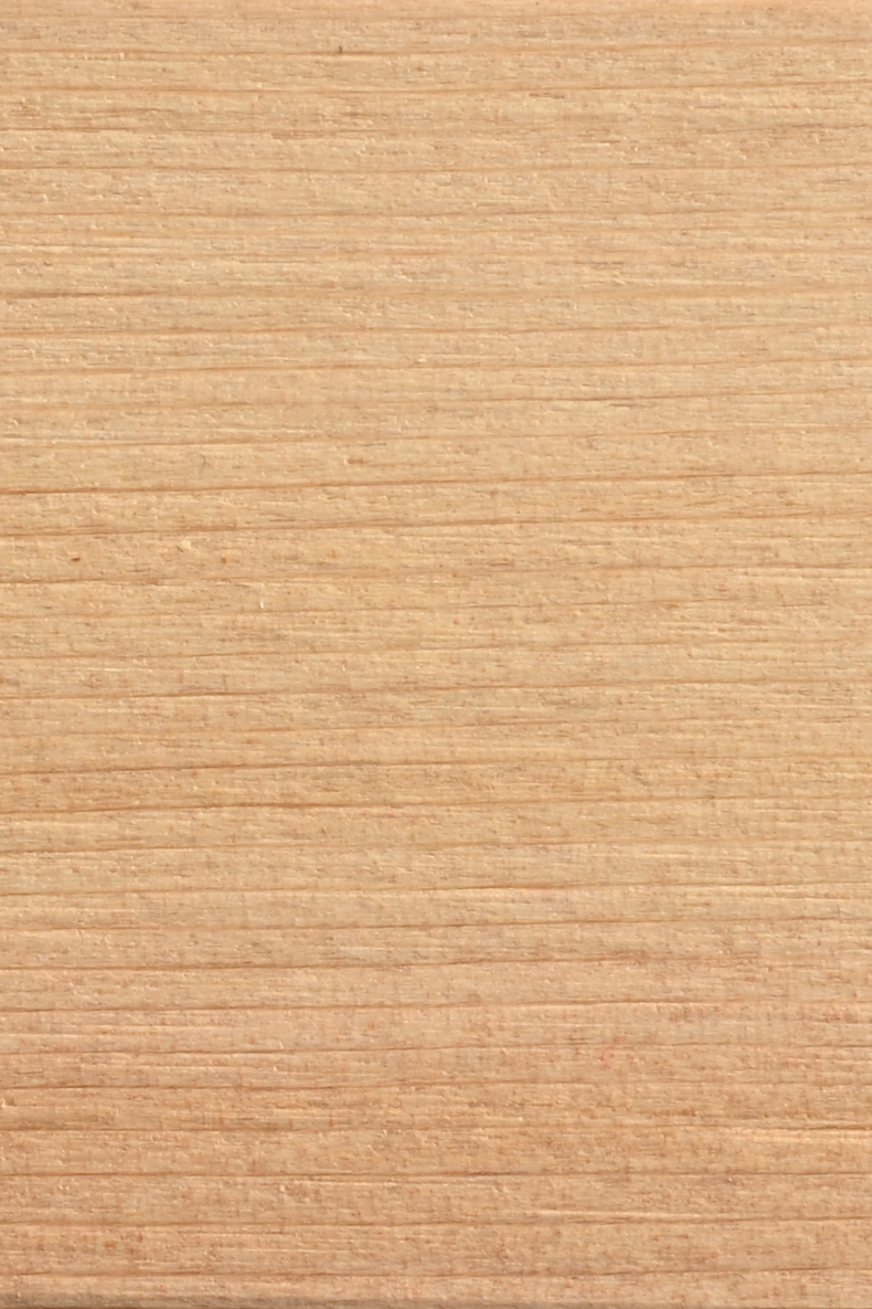 Hvad skal man vide om <br> Western Red Cedar?.