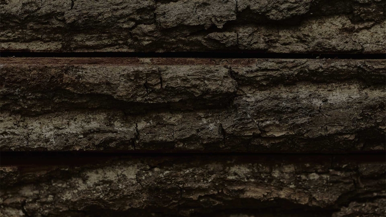 Bestil dit træ online.