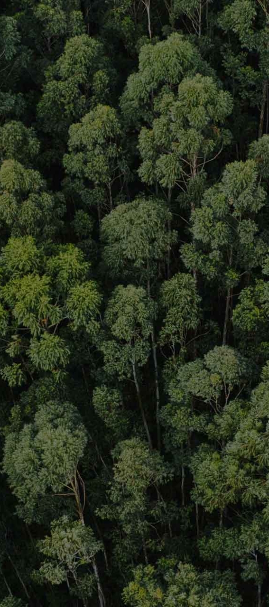 </br>Code of Conduct.