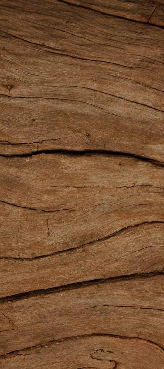 Vi har valgt træ. </br> Og træ har valgt os..